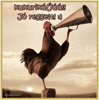 Jó reggelt !