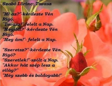 kellemes__1397424_4747_n. Kellemes !   Ünnepet !