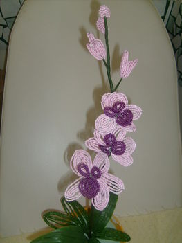 orchideám 3