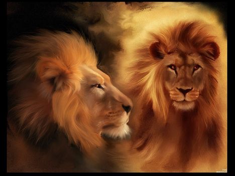 Eljő a Világ amikor oroszlánt is simogathatsz......
