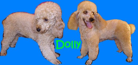 Kozmetika elott es utan Dolly