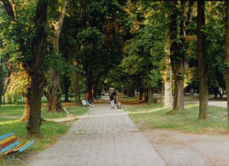park-Kolozsvaron