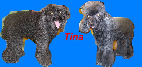 Tina kozmetika elott es utanna