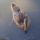 Mikor_kapok_mar_egy_kis_ennivalot_1500809_8456_t