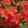 P1050010f-001_15540_357610_t
