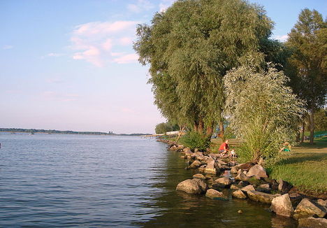 Tisza 1