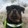 Gismo_vom_hause_fritz-016_1611833_5236_t