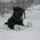 Gismo_vom_hause_fritz-032_1611817_5891_t