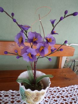 lila orchidea