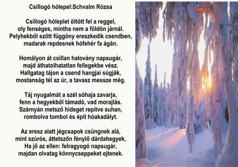 Csillogó hólepel - Schvalm Rózsa verse