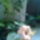 Hibi-003_1612981_7473_t