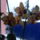 Orchidea-009_1612878_9823_t
