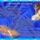 Esti_imadsag_1613213_1812_t