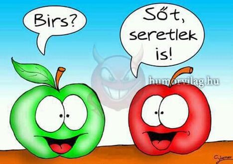 428960_453179601398707_801750869_n