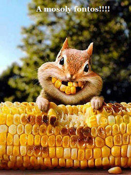 734749_10151389216775831_686045206_n