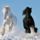 Lovas_kep_1-002_1615267_2672_t