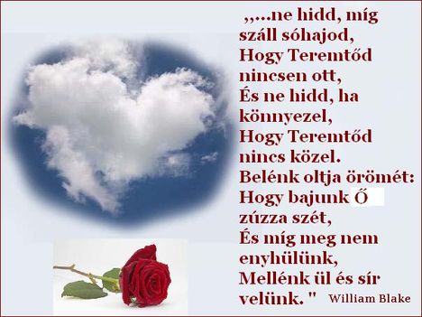 Ne hidd