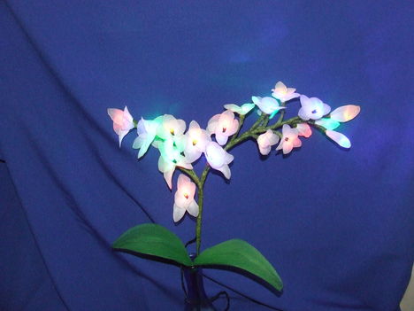 világítós orchidea