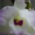 _3-009_1616792_2591_t