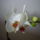 _4-011_1616802_2807_t