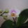 _6-011_1616804_7484_t