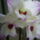 _7_1616796_2995_t