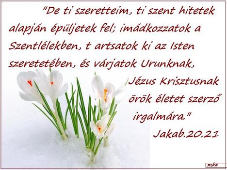 De ti szeretteim
