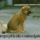 Ha_valakire_1616676_7156_t