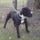 Amy_7honapos_1617059_2622_t