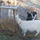 Dscn1046_1618878_9093_t