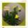 Narcisz_nyiloban_1618742_2901_t