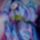 Nyar_3_1618339_4779_t