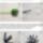 Pipacs_2_1618538_5174_t