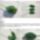 Pipacs_3_1618536_5077_t