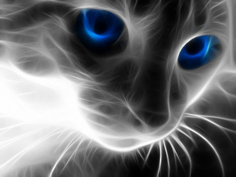 900x900px-LL-2fcc785b_Blue-Eye-Cat-fractal-tigers-and-cats-animals-animal-cat-Fractalius-cartoon-faces-funny-loved-sexy-digitalart-zbyszek_large