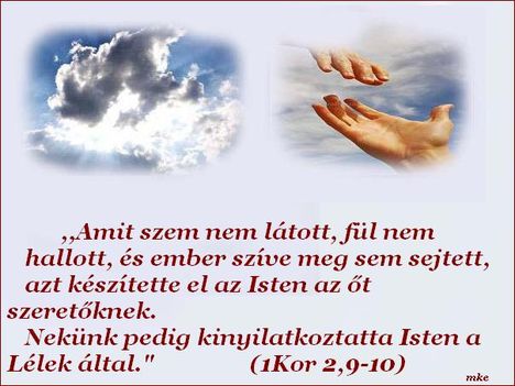 Áldott,szép napot  kívánok!