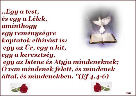 Áldott,szép napot kivánok!