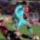 20110226_partido_10_1061748_5027_t