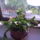 Feherkem_1061570_9377_t