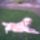 Jhony_27_161594_25031_t