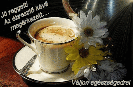 Jo reggelt!Az ebreszto kave megerkezett...