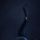 Kepalbumom_21-002_1610896_3352_t