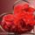 Kepalbumom_24-002_1610899_9746_t