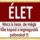 Kepalbumom_38_1610913_3636_t