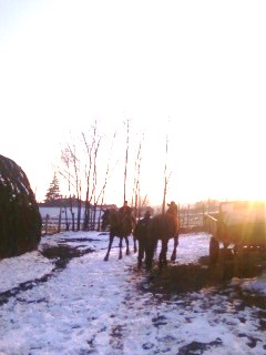 lovaglás 18