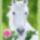 Nevnaploviraggalerdos_agnes_sok_boldog_nevnapot__1610712_1307_t