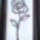 Rozsa-001_1601049_8582_t