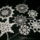 S7005209_1601932_4817_t