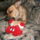 Vicces_aranyos_allatos_1_1610234_3667_t
