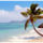 Ance_source_d_argent_te_1621097_3415_t